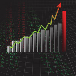 Infographic chart bar template flat design interf Vector Image