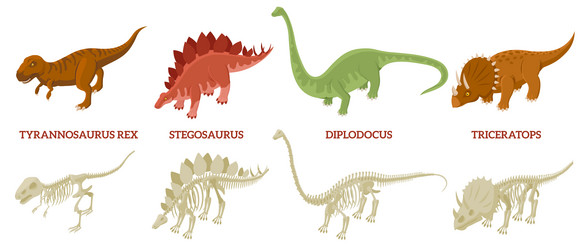 Dinosaurs skeleton compositions set vector