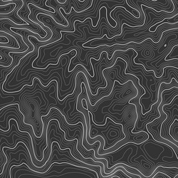 topographic map background with space for copy vector image