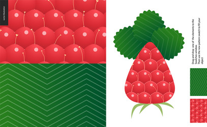 Raspberry Rind Patterns vector image