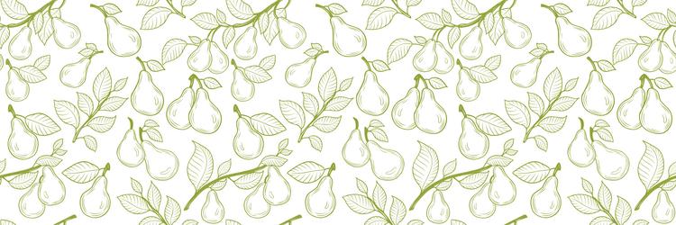 pear fruit seamless pattern background branches vector image