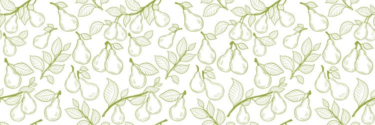 Pear fruit seamless pattern background branches vector