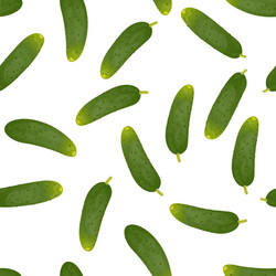 seamless pattern background with cucumbers vector image