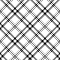 Check black white plaid diagonal texture seamless Vector Image