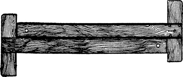 testing the edge of t-squares free nicks vector image