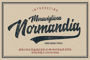 brush script font original retro typeface vector image