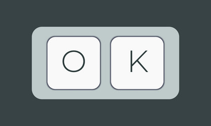 computer keyboard key with ok keys vector image