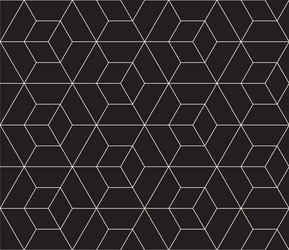 Geometric Hexagon Pattern vector image