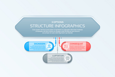 Infographics template with 3 structure elements vector