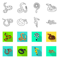 Snake and creepy sign set vector