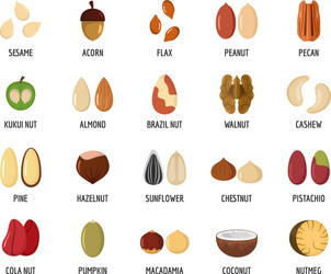 nut types with signed names icons set flat style vector image