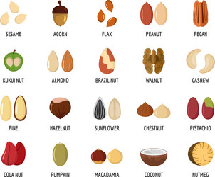 Nut types with signed names icons set flat style vector