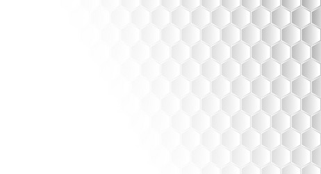 Abstract geometric shape hexagon background vector