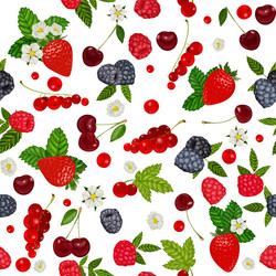 Seamless pattern with summer berries vector