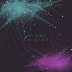 Dynamic Mesh Polygon Background vector image