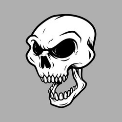 skull head Vector Image
