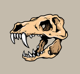 t rex skull Vector Image