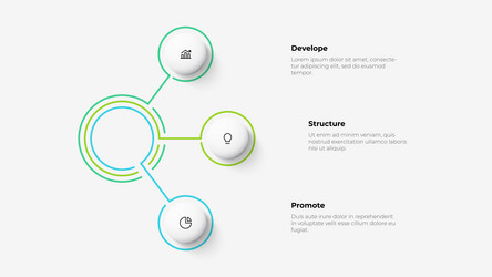 thin lines with 3 options flow chart diagram vector image