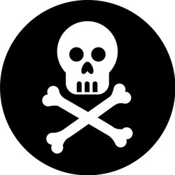 skull danger signal icon vector