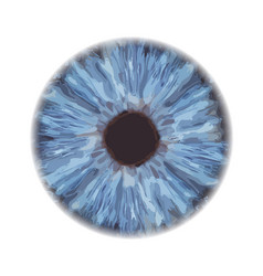 Eye iris vector