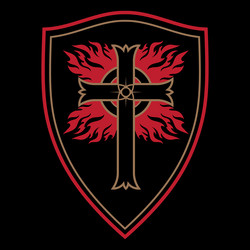 knightly design crusader knight shield vector image