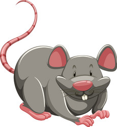 Cute mouse Royalty Free Vector Image - VectorStock