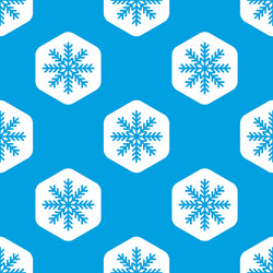 snowflake hexagon pattern vector image