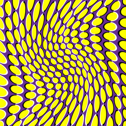 Seamless pattern with circles optical illusion vector