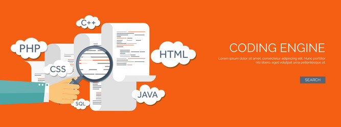 flat background coding vector image