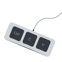 keyboard keys ctrl c and v copy paste vector