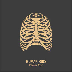 Rib cage icon Royalty Free Vector Image - VectorStock