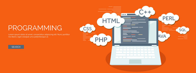 flat background coding vector image