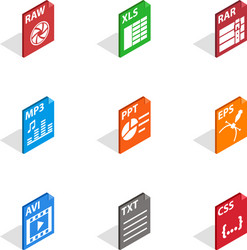 program file icons isometric 3d style vector image