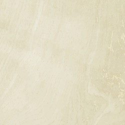 wood natural background Vector Image