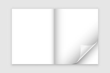 simple and blank page curl mockup design vector image