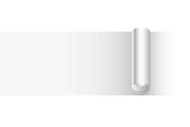 3d style empty paper rolled sheet template design vector image