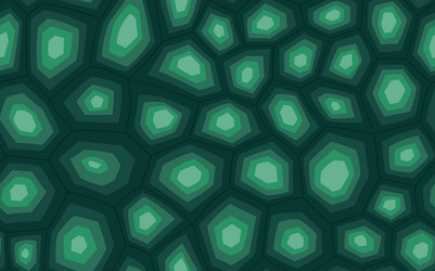 abstract modern turtle shell seamless pattern vector image