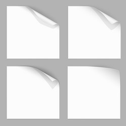 Curled sheet paper empty blank Royalty Free Vector Image