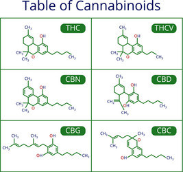 Cannabis skeletal cbd formula marijuana molecules vector