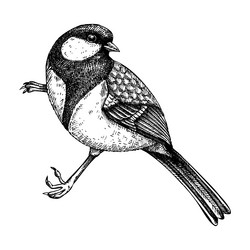 Tits Vector Images (over 2,600)