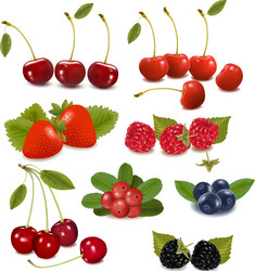 Berries icon set Royalty Free Vector Image - VectorStock