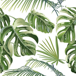 Tropical Monstera Leaves Pattern Vector Image