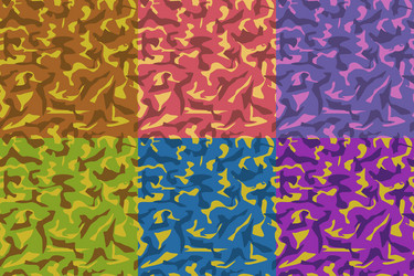 Colorful Camouflage Pattern Set vector image