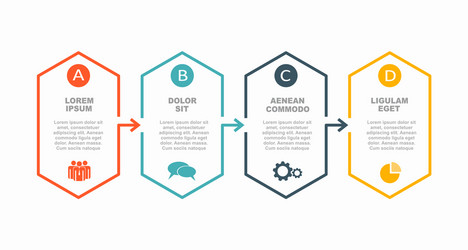 Infographic Template - Data Visualization vector image