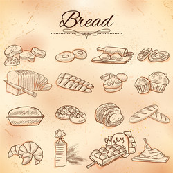 template different types bread and loafs vector