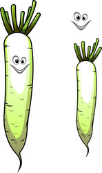 Fresh whole parsnip with a sweet smile vector