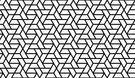 elegant abstract geometric pattern vector image