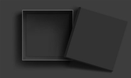 empty open black cardboard box vector image