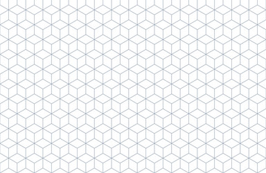Isometric Grid Pattern vector image