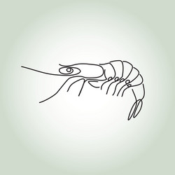 shrimp in minimal line style vector